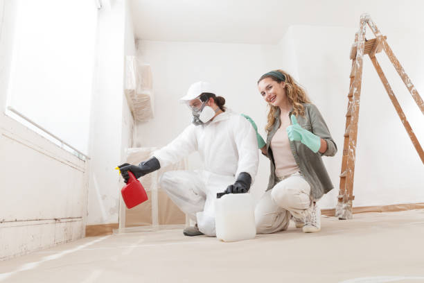 Mold Remediation for Rental Properties in Eustis, FL